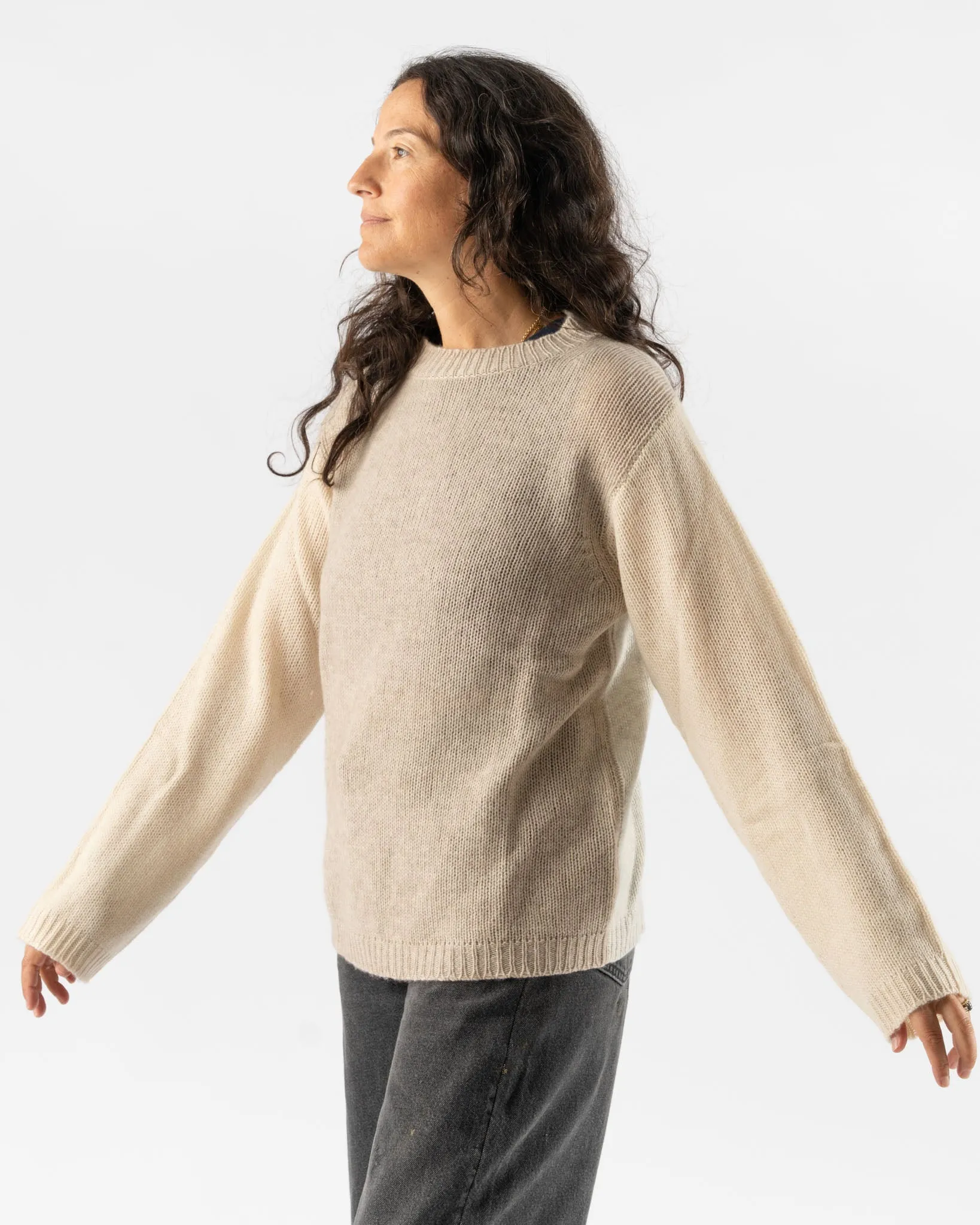 Sofie D'Hoore Matcha Sweater in Combination